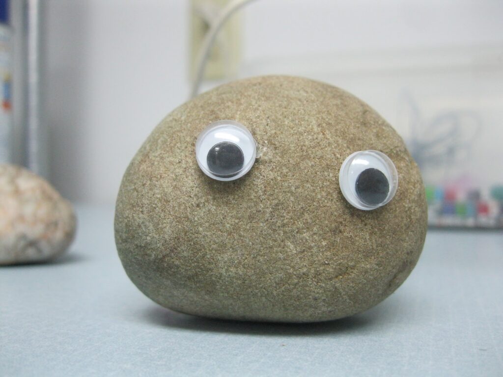 Pet-Rock-con-occhi-1024x768 Pet Rock: La Pietra da Oltre 15 Milioni di Dollari