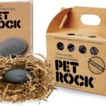 Pet Rock copertina