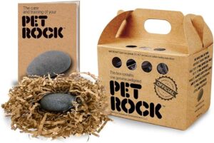 Pet Rock copertina